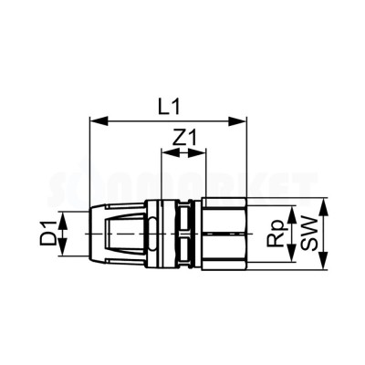 Муфта для Push-fit переходная с внутренней резьбой бронза Дн 25 х Rp 3/4" TECElogo